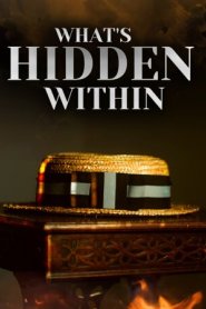 What's Hidden Within