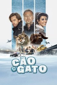 Cão e Gato