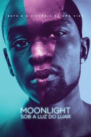 Moonlight: Sob a Luz do Luar